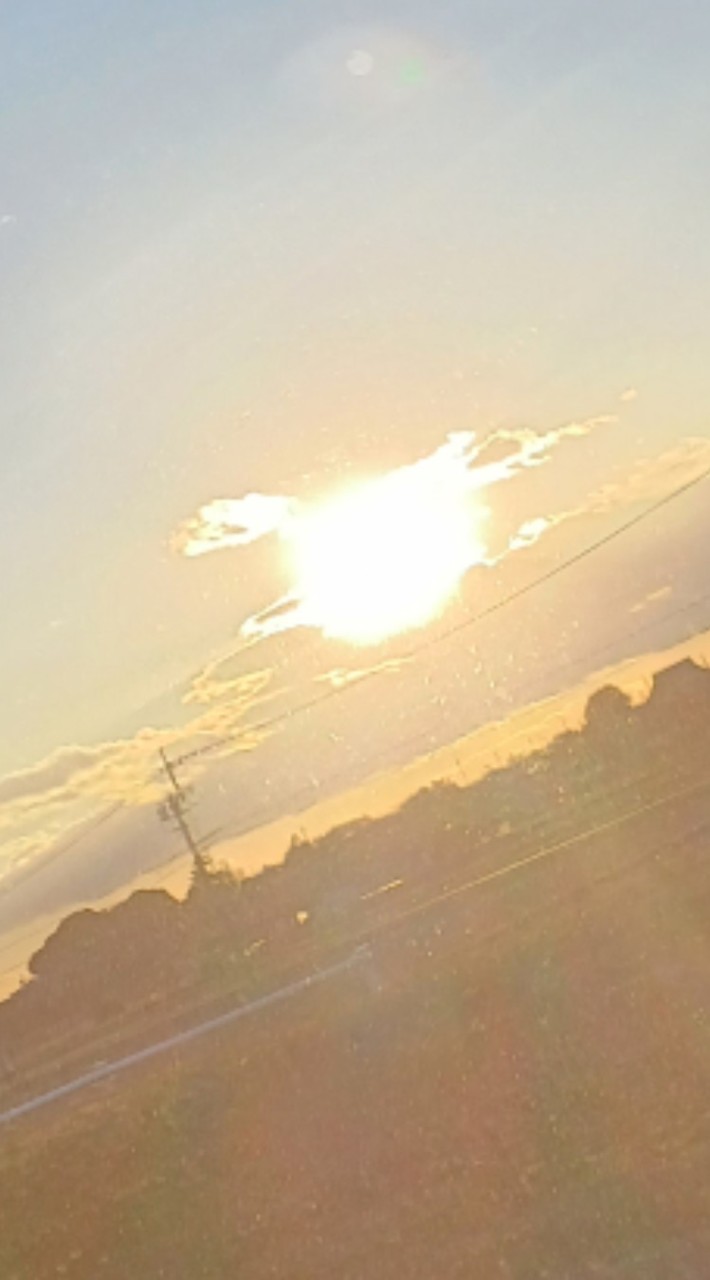 高嶺の花