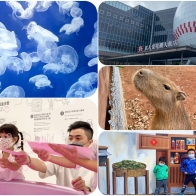 桃園5大景點玩水族館、打棒球、逛牧場、揮灑創意，過年保證不無聊