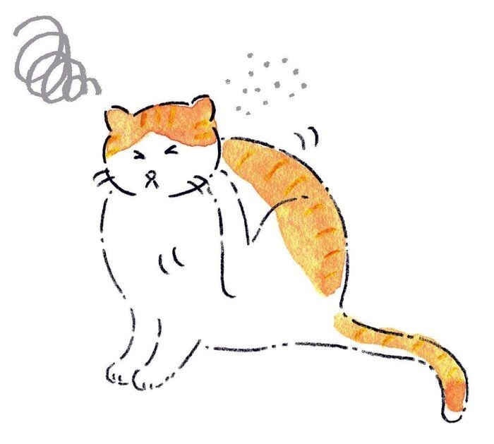 意外と多い 猫の 皮膚病 はどんな病気 獣医師解説 ねこのきもちnews