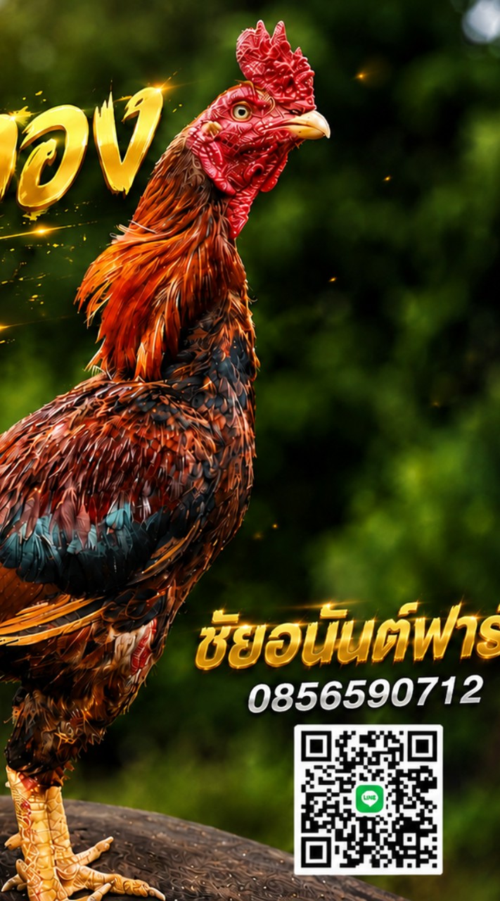ชัยอนันต์ฟาร์ม999