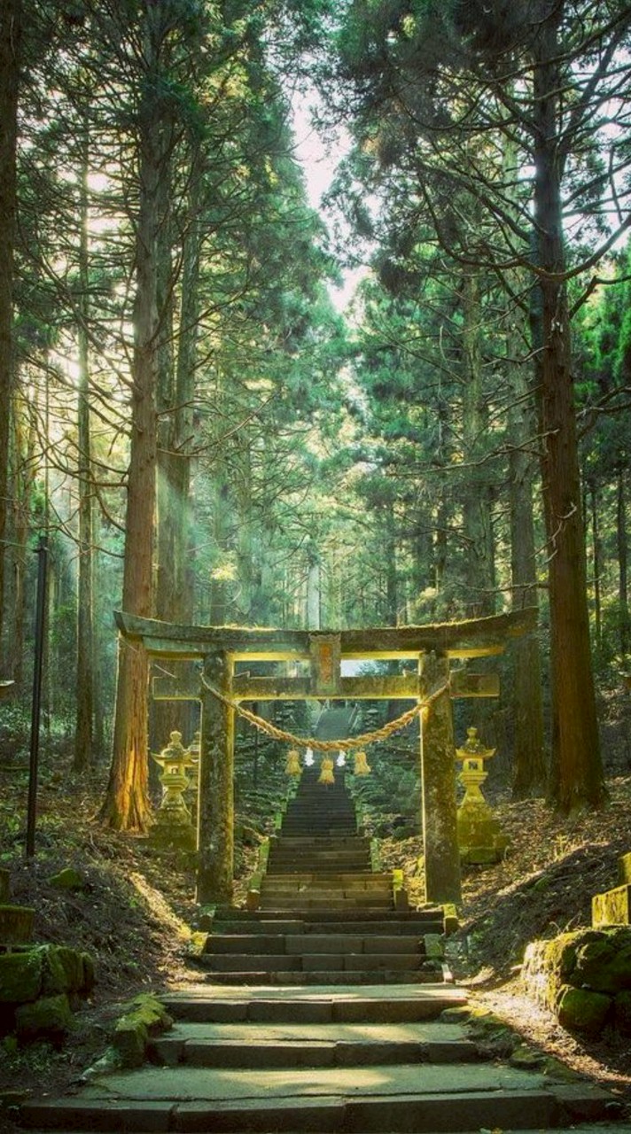 アニメ好きな学生集まれ