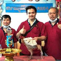 ซุ้ม อัศวินระกาทองFC