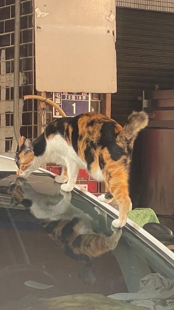 玩墾丁