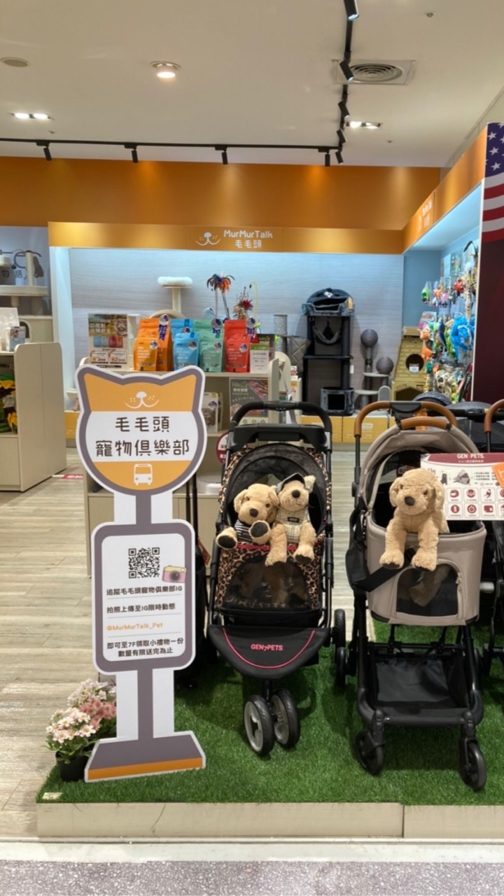 毛毛頭寵物俱樂部天母店
