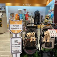 毛毛頭寵物俱樂部天母店