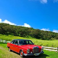 老爺車趣旅行 - 老車協會