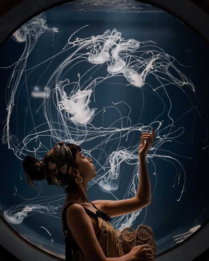 桃園青埔Xpark水族館 _癒見水母