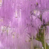 掃除機は吸引力が命