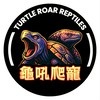 龜吼爬寵-交流、討論、分享、競標 群組