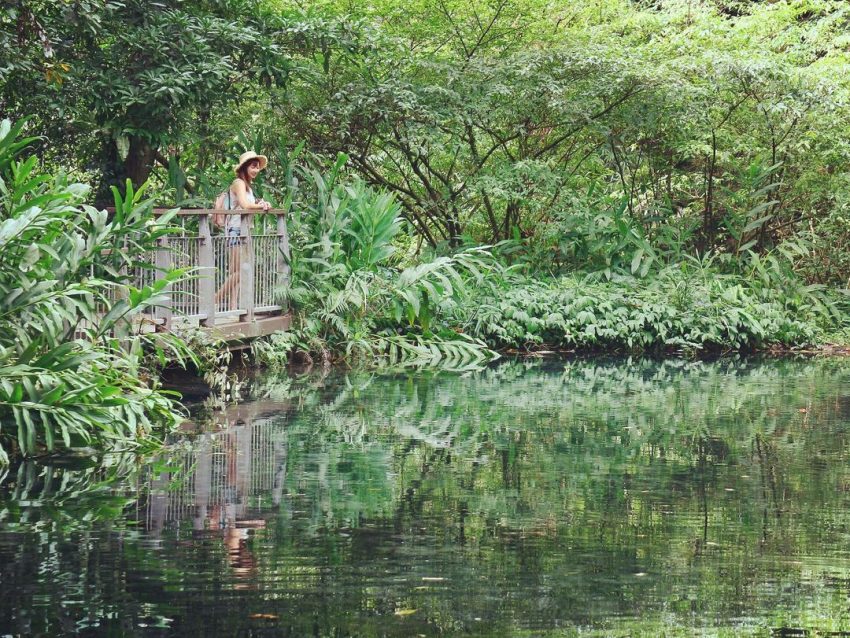 四十二份坪生態湧泉,苗栗 住宿,苗栗住宿,苗栗 民宿,苗栗 住宿 推薦,苗栗住宿推薦,苗栗 飯店苗栗住宿, 苗栗民宿, 苗栗包棟民宿, 苗栗飯店, 苗栗溫泉飯店, 苗栗三義住宿, 苗栗民宿包棟, 苗栗特色民宿, 苗栗三義民宿, 苗栗民宿親子, 苗栗民宿villa, 苗栗住宿推薦, 苗栗住宿親子, 苗栗尚順君樂飯店, 苗栗民宿烤肉, 苗栗汽車旅館, 苗栗親子飯店, 苗栗親子民宿, 苗栗住宿寵物, 苗栗三義住宿推薦, 苗栗民宿包棟烤肉, 苗栗民宿螢火蟲, 苗栗飯店親子, 螢火蟲民宿苗栗, 苗栗住宿推薦便宜, 苗栗平價民宿, 苗栗民宿三義, 苗栗便宜民宿, 苗栗民宿便宜, 泰安民宿, 苗栗草莓住宿, 苗栗泰安包棟民宿, 苗栗螢火蟲民宿推薦, 苗栗三義旅館, 苗栗三義民宿推薦, 南庄民宿螢火蟲, 苗栗民宿溫泉, 苗栗溫泉住宿, 泰安民宿推薦, 苗栗親子住宿, 苗栗住宿溫泉, 苗栗民宿推薦, 苗栗三義平價民宿, 苗栗寵物民宿, 苗栗民宿網, 民宿苗栗推薦, 苗栗渡假村, 苗栗溫泉villa, 頭份汽車旅館, 苗栗飯店推薦, 頭份住宿, 竹南住宿, 苗栗市住宿, 苗栗泡湯住宿, 苗栗旅館, 苗栗南庄民宿, 苗栗飯店五星, 苗栗溫泉一泊二食, 苗栗住宿飯店, 苑裡住宿, 竹南汽車旅館, 苗栗大湖住宿, 包棟民宿苗栗, 苗栗住宿包棟, 苗栗民宿包棟20人, 苗栗泰安住宿, 苗栗民宿包棟25人, 苗栗親子民宿包棟, 苗栗推薦住宿, 苗栗南庄住宿, 苗栗包棟民宿10人, 苗栗溫泉民宿, 苗栗寵物友善住宿, 頭份飯店, 通霄住宿, 溫泉飯店苗栗, 苗栗汽車旅館推薦, 苗栗市汽車旅館, 苗栗住宿推荐, 苗栗溫泉渡假村, 南庄包棟民宿, 苗栗一泊二食, 苗栗住宿推薦2022, 民宿苗栗, 苗栗寵物友善飯店, 苗栗烤肉民宿, 苗栗錦水溫泉飯店, 卓蘭民宿, 泰安飯店, 苗栗苑裡溫泉飯店, 苑裡飯店, 苗栗泳池民宿, 苗栗苑裡住宿, 苗栗螢火蟲民宿, 泰安觀止訂房, 南庄民宿包棟, 苗栗民宿包棟ktv, 南庄民宿推薦, 苑裡民宿, 苗栗酒店, 苗栗寵物友善民宿, 卓蘭住宿, 竹南民宿, 苗栗包棟民宿30人, 頭份旅館, 苗栗溜滑梯民宿, 竹南旅館, 苗栗渡假村推薦, 苗栗寵物住宿, 苗栗山上民宿, 苗栗必住飯店, 綜藝玩很大苗栗住宿, 苗栗公館住宿, 苗栗包棟民宿20人, 苗栗市飯店, 南庄包棟民宿ktv, 南庄住宿推薦, 苗栗渡假飯店, 苗栗頭份住宿, 後龍住宿, 一泊二食苗栗, 苗栗農場住宿, 苗栗包棟親子民宿, 苗栗親子包棟, 苗栗民宿包棟推薦, 頭份民宿, 苗栗防疫旅館查詢, 苗栗公館民宿, 新竹苗栗包棟民宿, 通霄民宿, 頭份尚順君樂飯店, 苗栗泰安溫泉飯店, 苗栗住宿小木屋, 南莊住宿, 苗栗高級飯店, 苗栗君樂飯店, 苑裡汽車旅館, 苗栗泰安錦水溫泉飯店, 苗栗南庄民宿包棟, 後龍汽車旅館, 頭份君樂飯店, 民宿包棟苗栗, 苗栗大湖民宿, 苗栗包棟民宿推薦, 苗栗火車站住宿, 苗栗溫泉飯店推薦, 苗栗好望角民宿, 苗栗背包客棧, 公館汽車旅館, 苗栗防疫旅館名單2022, 苗栗推薦民宿, 苗栗泰安溫泉住宿, 通霄汽車旅館, 苗栗銅鑼住宿, 苗栗20人包棟民宿, 苗栗逗號民宿, 苗栗森林民宿, 苗栗兩天一夜住宿, 苗栗便宜住宿, 苗栗自然風情景觀民宿, 苗栗市區住宿, 苗栗景觀民宿, 苗栗尚順飯店, 竹南旅社, 苗栗一泊二食推薦, 苗栗通霄住宿, 苑里住宿, 頭份汽車旅館推薦, 苗栗渡假, 苗栗溫泉旅館, 新竹苗栗溜滑梯民宿, 公館民宿, 苗栗獨棟民宿, 苗栗天空之城住宿, 苗栗汽車旅館休息, 頭份住宿推薦, 苗栗親子民宿溜滑梯, 苗栗包棟民宿泳池, 苗栗市旅館, 竹南住宿推薦, 苗栗包棟民宿ktv, 苗栗飯店溫泉, 苗栗高級民宿, 苗栗度假飯店, 公館yes行旅, 苗栗享沐時光莊園渡假酒店, 苗栗溫泉住宿推薦, 苗栗泳池飯店, 苗栗海邊民宿, 南庄螢火蟲民宿, 苗栗頂級民宿, 苗栗住宿推薦ptt, 苗栗南莊住宿, 苗栗包棟民宿親子, 苗栗公館汽車旅館, 苑裡住宿推薦, 苗栗住宿山上, 南庄老街住宿, 向天湖民宿, 苗栗市民宿, 苗栗車站住宿, 苗栗特色住宿, 苗栗平價住宿, 泰安住宿推薦, 苗栗泰安民宿, 苗栗寵物旅館, 頭份東園飯店, 苗栗30人包棟民宿, 泰安民宿包棟, 苗栗親子包棟民宿, 苗栗三義薄霧館樓中樓民宿, 苗栗民宿包棟泳池, 苗栗松鶴民宿, 苗栗後龍住宿, 後龍民宿, 苗栗親子villa, 苗栗竹南住宿, 苗栗大湖湯神溫泉會館, 苗栗包棟住宿, 苗栗寵物包棟民宿, 苗栗旅館休息, 苗栗寵物民宿包棟, 苗栗莊園民宿, 通霄住宿推薦, 苗栗商務旅館, 苗栗大湖日光森林民宿, 苗栗大飯店, 苗栗ktv汽車旅館, 苗栗烤肉住宿, 苗栗螢火蟲住宿, 苗栗溫泉寵物友善, 苗栗溫泉飯店親子, 苗栗苑裡飯店, 苑里溫泉飯店, 苗栗銅鑼民宿, 苗栗採草莓住宿, 苗栗小木屋推薦, 苗栗樹也民宿, 苗栗市住宿推薦, 卓蘭包棟民宿,