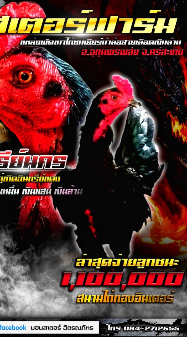 มินสเตอร์ ฟาร์ม