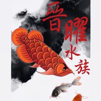 晉曜交流競標群