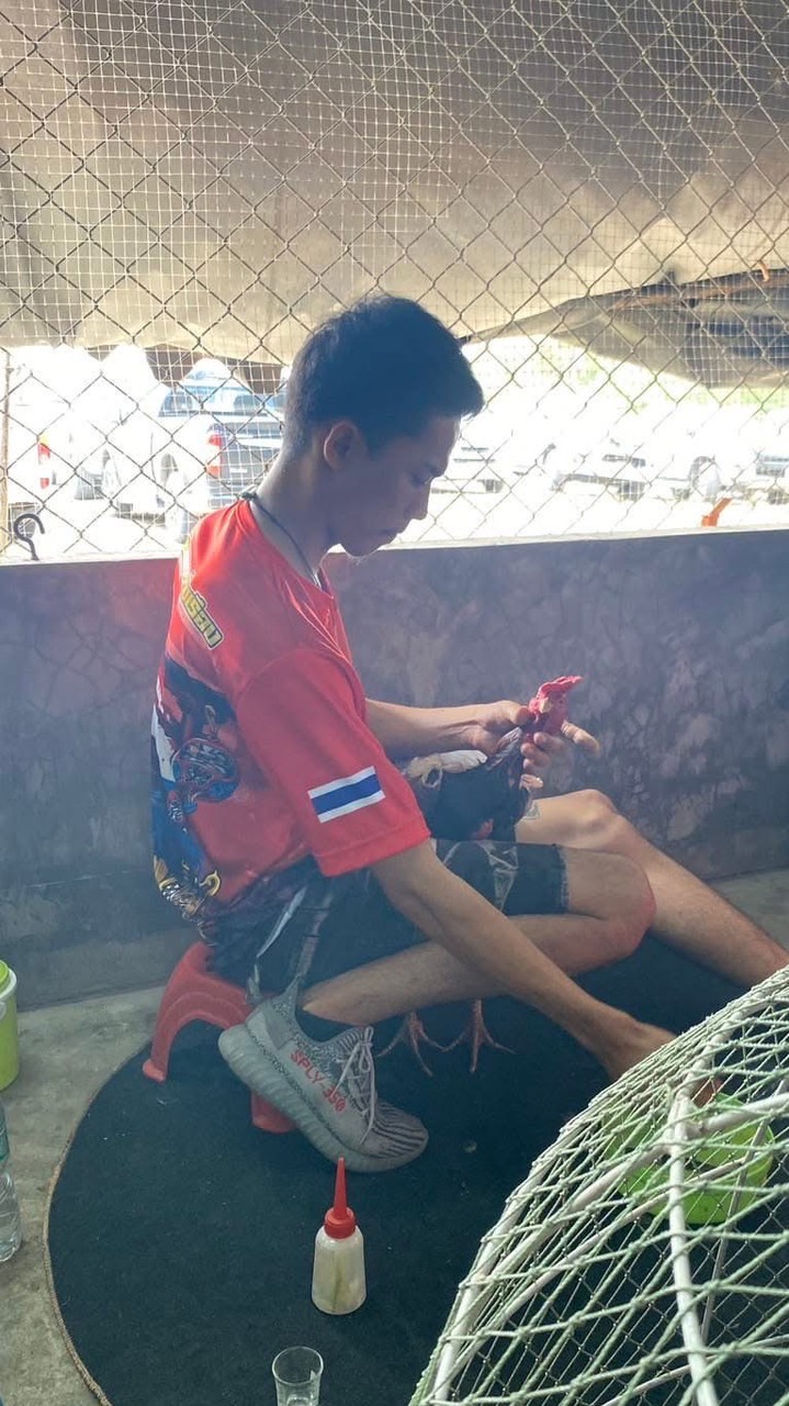 ซุ้มไก่เงินเพชรรุ่งเรือง