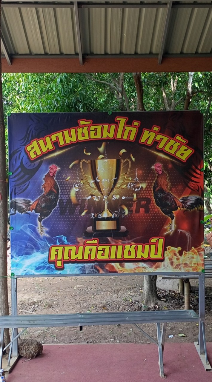 สนามซ้อมชนไก่ท่าชัย