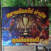 สนามซ้อมชนไก่ท่าชัย