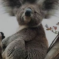 ぺちゃくちゃ雑談部屋