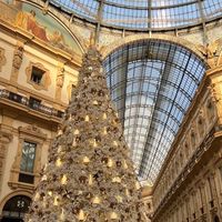 🇮🇹米蘭代購 （2025/08）