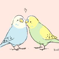 セキセイインコインコ好きな人カモーン！