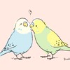 セキセイインコインコ好きな人カモーン！