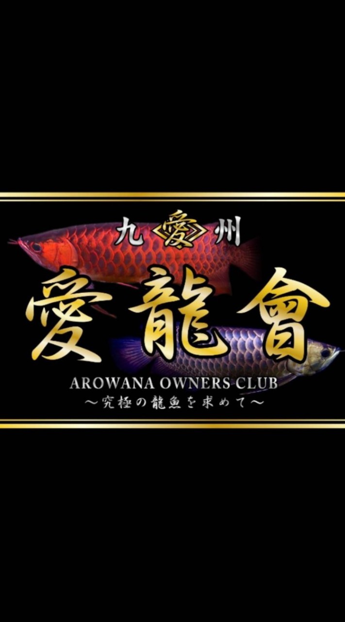 全日本龍魚愛好会✨愛龍會✨～究極の龍魚を求めて～