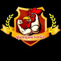 หนุ่มนาเหนือฟาร์มไก่ชนขอนแก่น