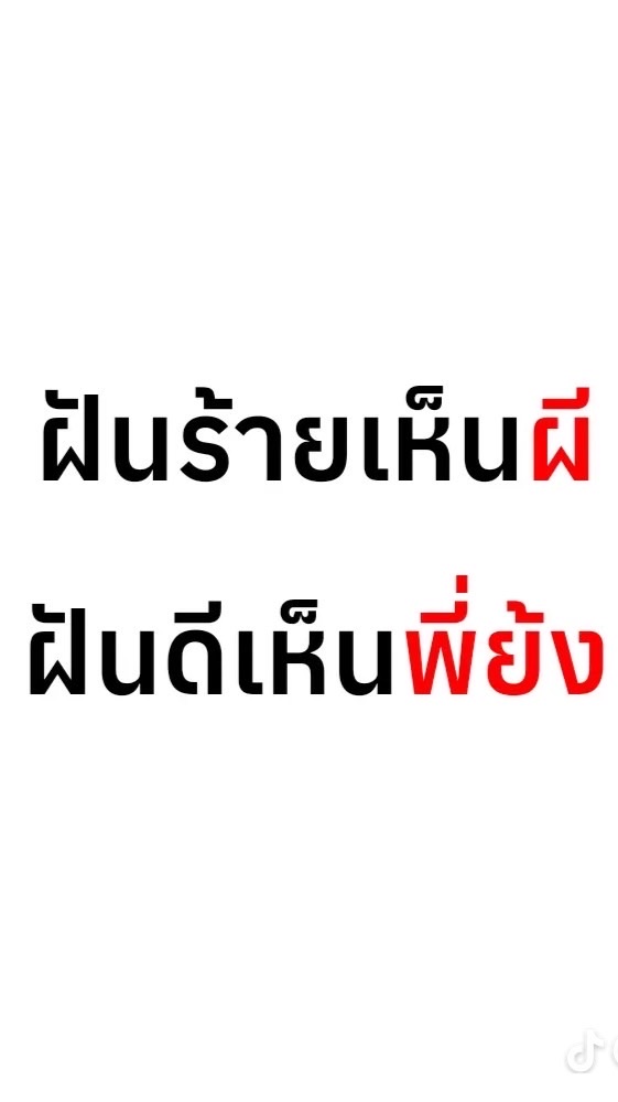 คนร้าก Bus Dice🫶🏻