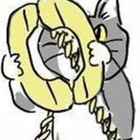建設コミュ