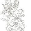 澤田さんイラストレーターアシスタント