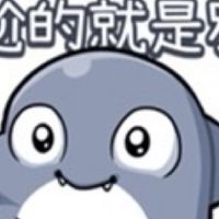 606班群