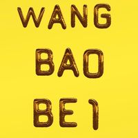 BENZ💙王宝贝💛