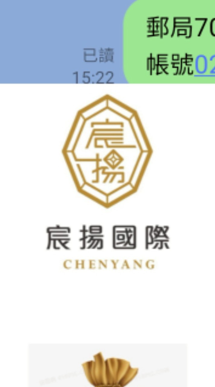 🎈宸揚家族🎖聊天群