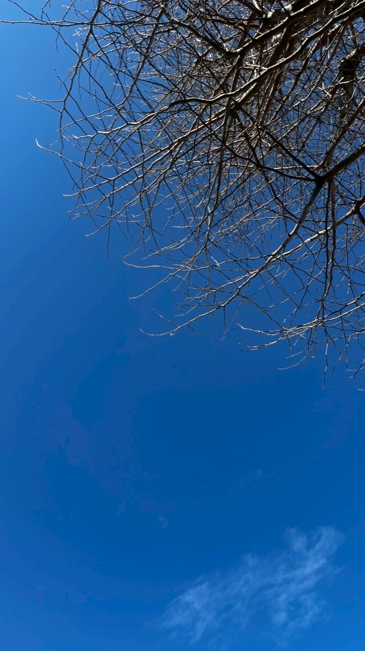 【4/3中高生対象】2026春シャトル未来オープン