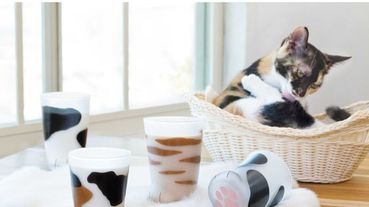 貓奴們注意！日本超療癒貓咪餐廚品牌打造貓咪吐司造型模具、貓腳杯…等5樣貓咪實用小物