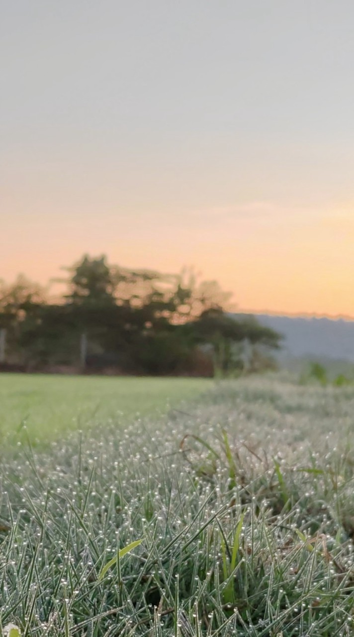 🚜🌾🌾เกษตร ม.2 ศรีสวรรค์