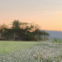 🚜🌾🌾เกษตร ม.2 ศรีสวรรค์