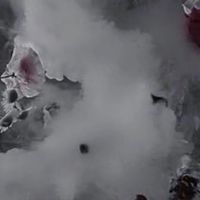 ＊徒花　RKRN 表禁止