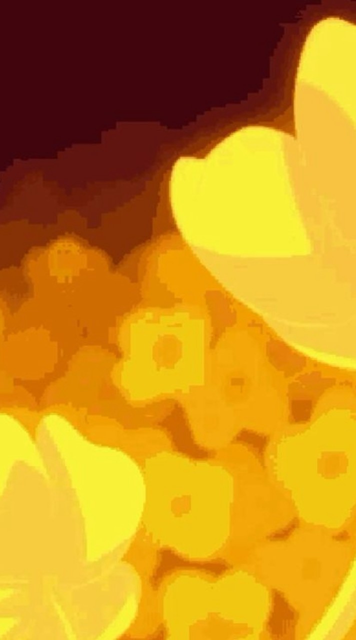 ☆SP☆