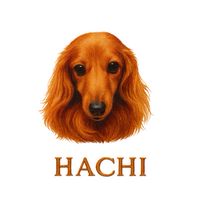 はち⌇AIを楽しむお部屋