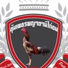 ซุ้มเพชรพญาตานีไก่ชน พม่าเหล่าโกวเซ้มฟาร์ม 100