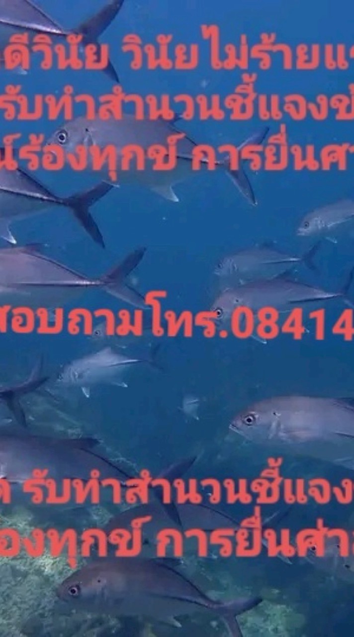 ปรึกษาคดีวินัยไม่ร้ายแรง/ร้ายแรง และคดีละเมิดชดใช้ค่าเสียหาย