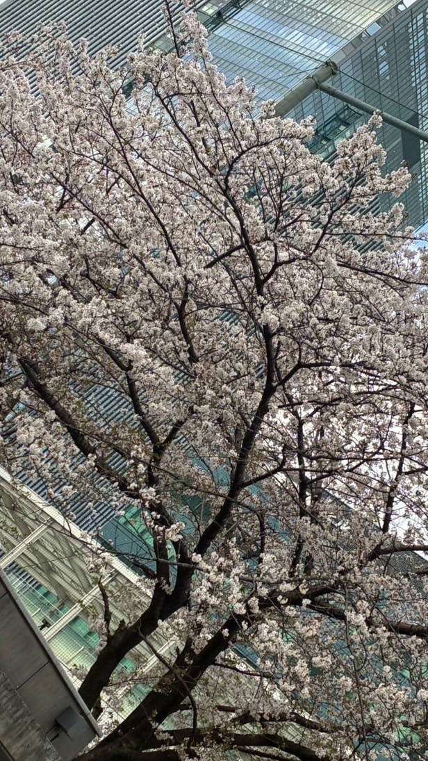 ˚˖𓍢ִ໋❀ 𝟏-𝑨 𝒄𝒍𝒂𝒔𝒔 ㆍお互いに助け合おうℝ𝕠𝕠𝕞 ㅤ