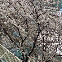 ˚˖𓍢ִ໋❀ 𝟏-𝑨 𝒄𝒍𝒂𝒔𝒔 ㆍお互いに助け合おうℝ𝕠𝕠𝕞 ㅤ
