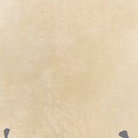 Lssa25th_組長副組長群