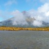 NZเที่ยวNewZealand