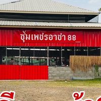 กลุ่มจองลูกไก่ เพชรอาชา88