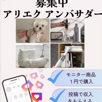 アリエクアンバサダー応募&通知専用(発言NG))