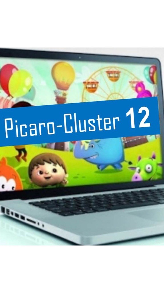 Picaro-Cluster 12