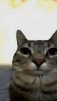 คนเล่นโรบอก