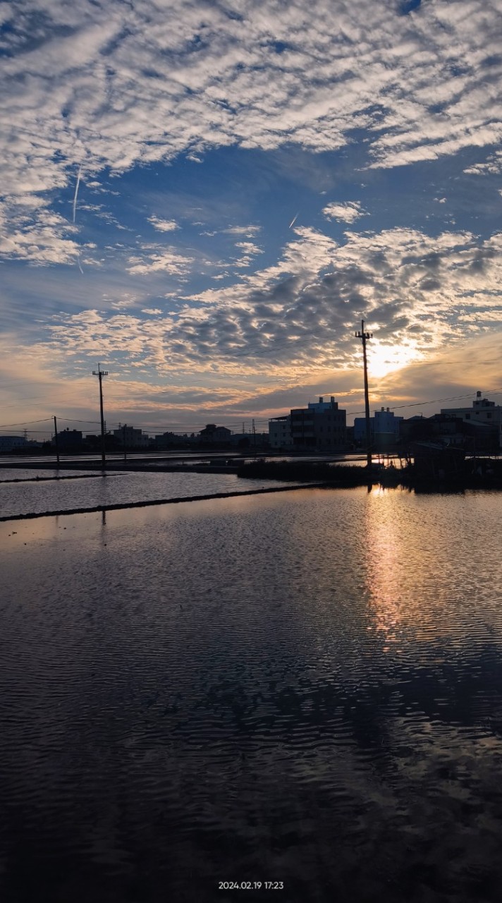 彼岸