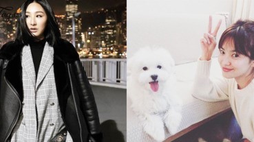 日本雜誌選出「男生最愛女生染的髮色」第一名竟然是……女生染髮前來參考吧！